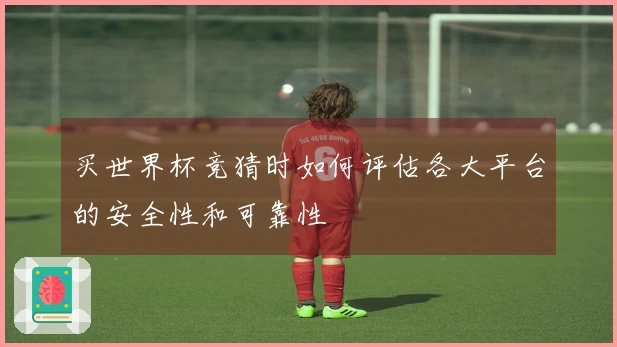 买世界杯竞猜时如何评估各大平台的安全性和可靠性