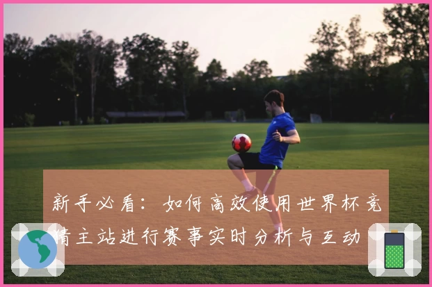 新手必看：如何高效使用世界杯竞猜主站进行赛事实时分析与互动