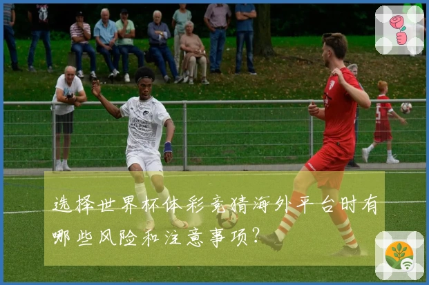 选择世界杯体彩竞猜海外平台时有哪些风险和注意事项？