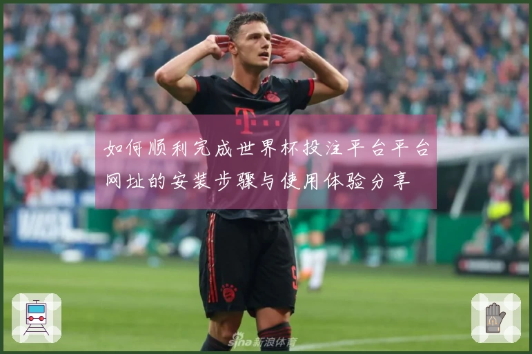 如何顺利完成世界杯投注平台平台网址的安装步骤与使用体验分享