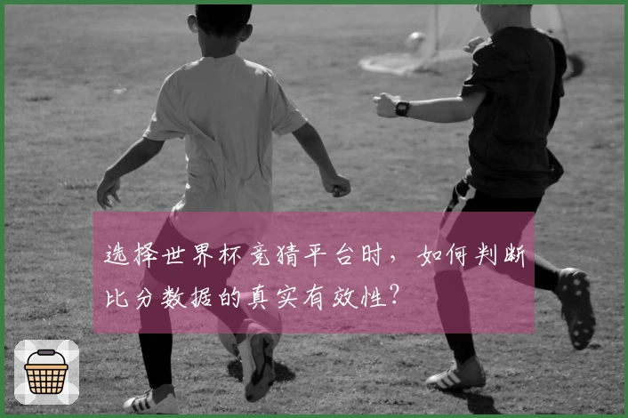 选择世界杯竞猜平台时，如何判断比分数据的真实有效性？