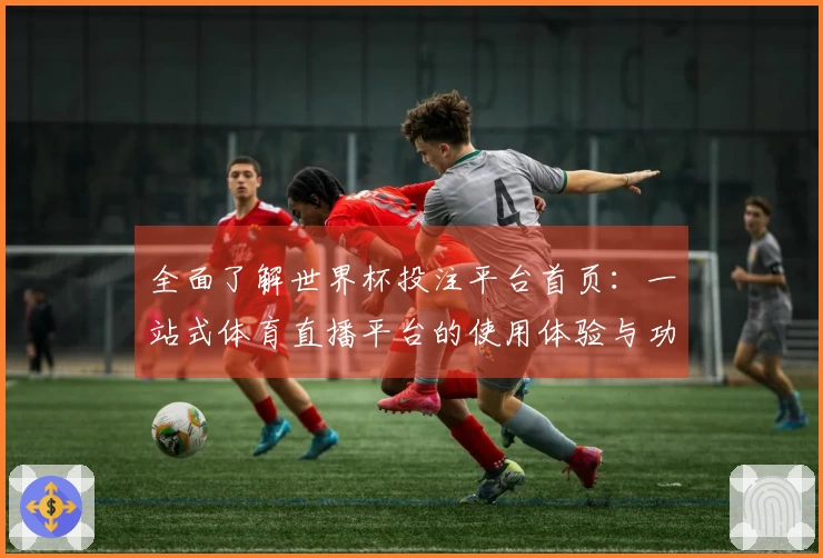 全面了解世界杯投注平台首页：一站式体育直播平台的使用体验与功能介绍