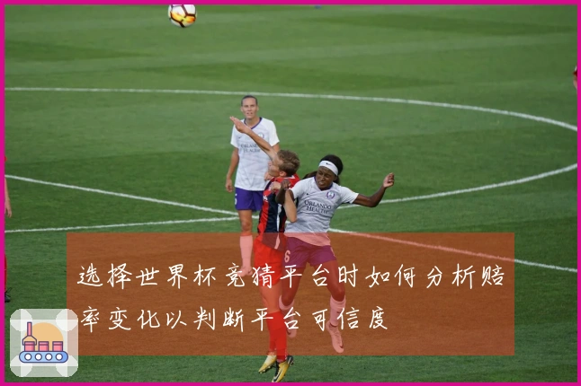 选择世界杯竞猜平台时如何分析赔率变化以判断平台可信度