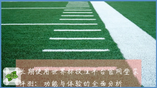 长期使用世界杯投注平台官网登录评测:功能与体验的全面分析