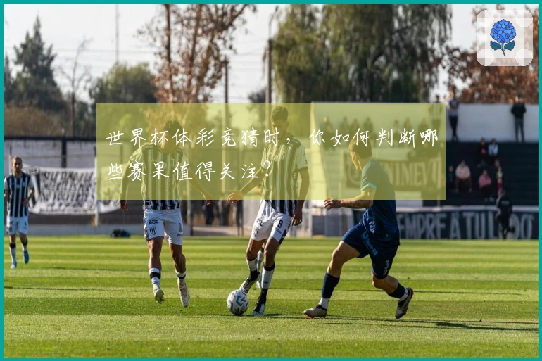 世界杯体彩竞猜时，你如何判断哪些赛果值得关注？