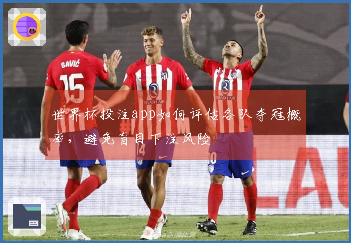世界杯投注app如何评估各队夺冠概率，避免盲目下注风险