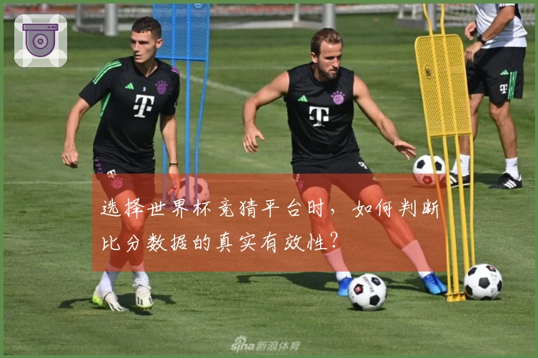 选择世界杯竞猜平台时，如何判断比分数据的真实有效性？