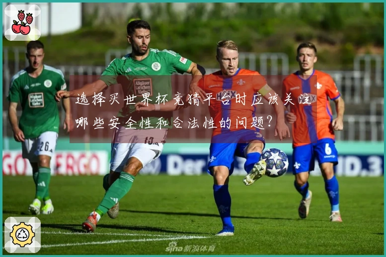 选择买世界杯竞猜平台时应该关注哪些安全性和合法性的问题？