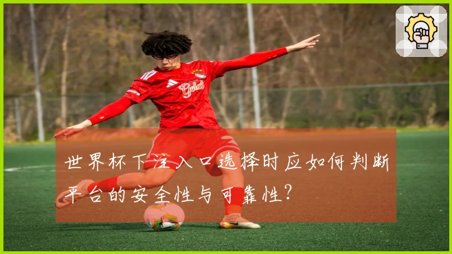 世界杯下注入口选择时应如何判断平台的安全性与可靠性？