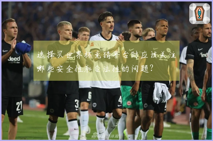 选择买世界杯竞猜平台时应该关注哪些安全性和合法性的问题？