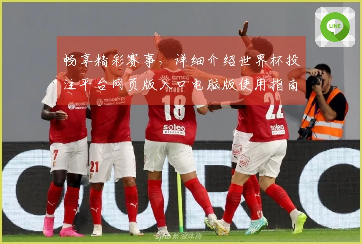 畅享精彩赛事，详细介绍世界杯投注平台网页版入口电脑版使用指南