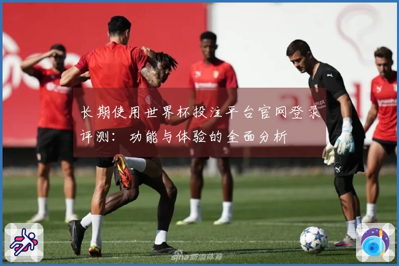 长期使用世界杯投注平台官网登录评测：功能与体验的全面分析
