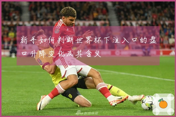 新手如何判断世界杯下注入口的盘口升降变化及其含义