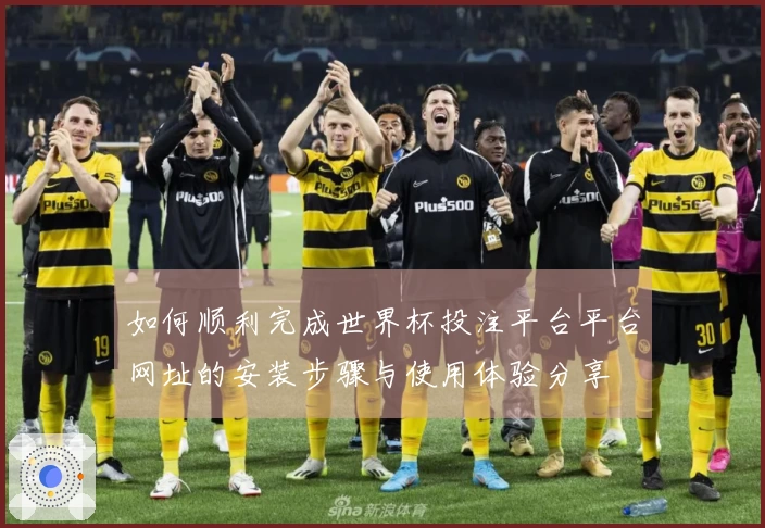 如何顺利完成世界杯投注平台平台网址的安装步骤与使用体验分享