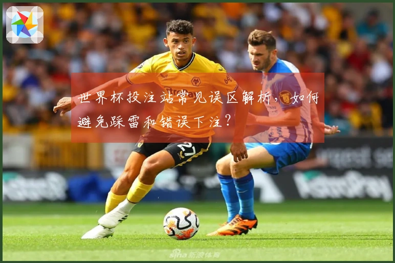 世界杯投注站常见误区解析，如何避免踩雷和错误下注？