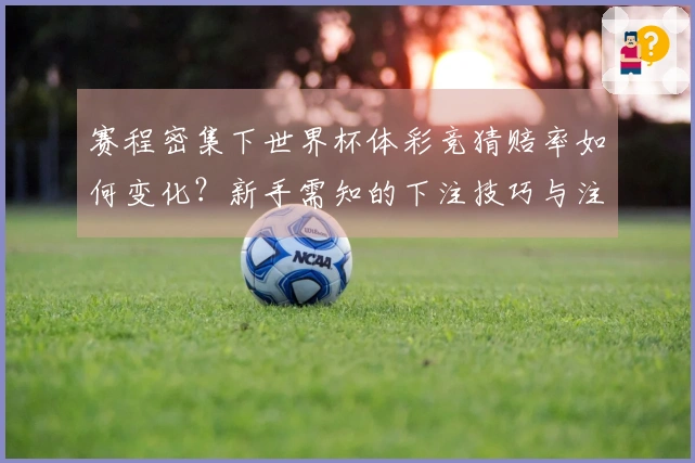 赛程密集下世界杯体彩竞猜赔率如何变化？新手需知的下注技巧与注意事项