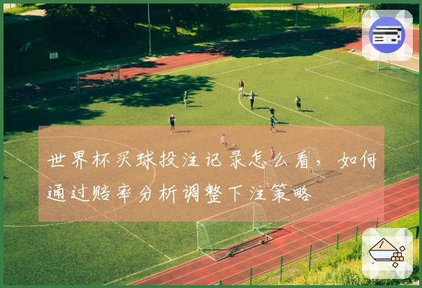 世界杯买球投注记录怎么看，如何通过赔率分析调整下注策略