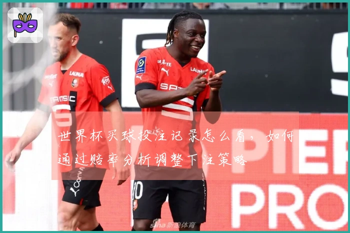 世界杯买球投注记录怎么看,如何通过赔率分析调整下注策略