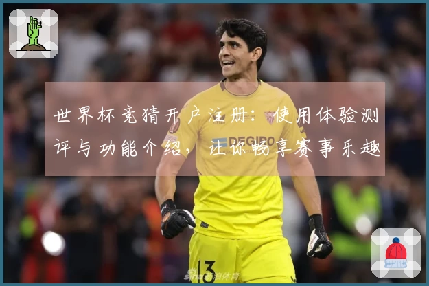 世界杯竞猜开户注册：使用体验测评与功能介绍，让你畅享赛事乐趣