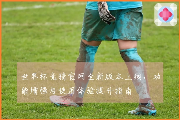 世界杯竞猜官网全新版本上线，功能增强与使用体验提升指南