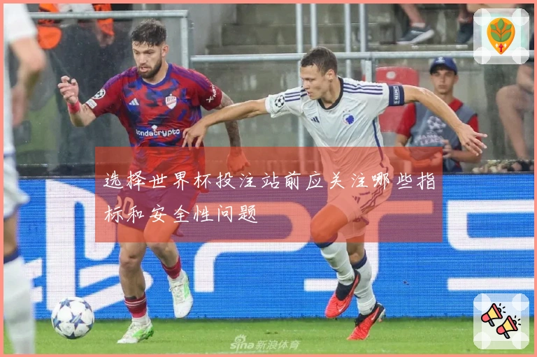 选择世界杯投注站前应关注哪些指标和安全性问题