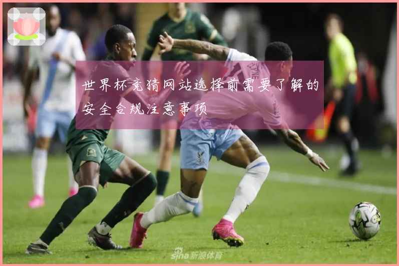 世界杯竞猜网站选择前需要了解的安全合规注意事项